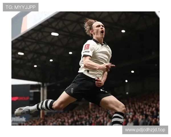 魏纳头球建功维尔港领先